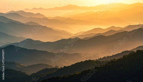 Golden Light Shines on Hilly Landscape with Forest Patches and Hazy Atmosphere in Warm Tone Scenery
