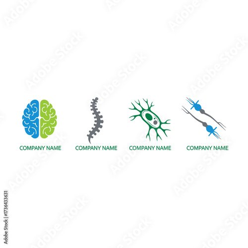 Medical and scientific illustrations of brain spine neuron and nerve cells.