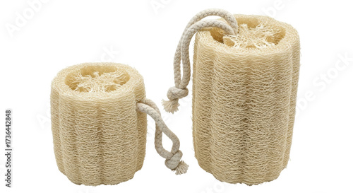 Fotografie Isolated Loofah sponges with string for bath and shower, natural fiber exfoliato