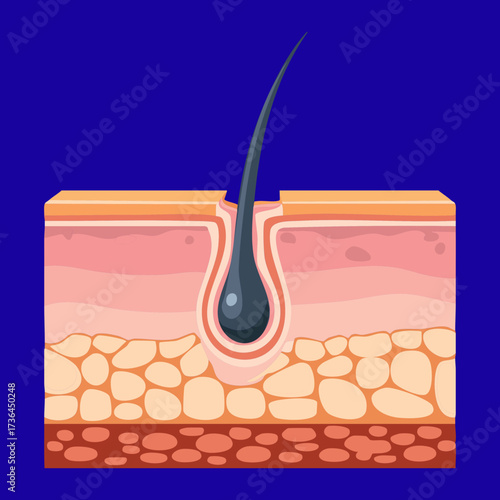 Simple View of a Hair Follicle Embedded in the Skin, Ideal for Explaining Basic Hair Removal or Shaving Concepts	