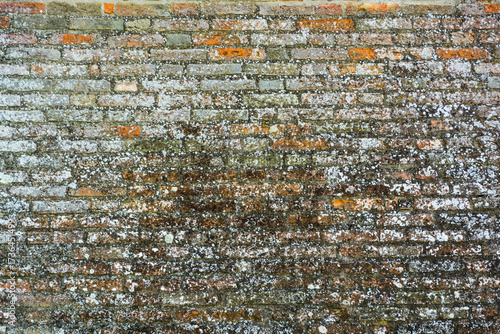 muro