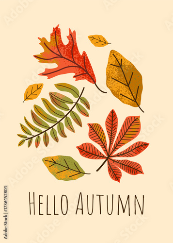 Autumn design backgrounds for cozy interior with natural elements. For personal blog or shop Layout for promotion, interior.	
