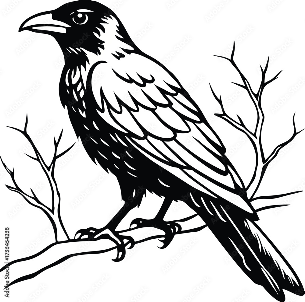 Fototapeta premium Detailed black and white drawing of a crow bird perched on a tree branch isolated on white background isolated on transparent background