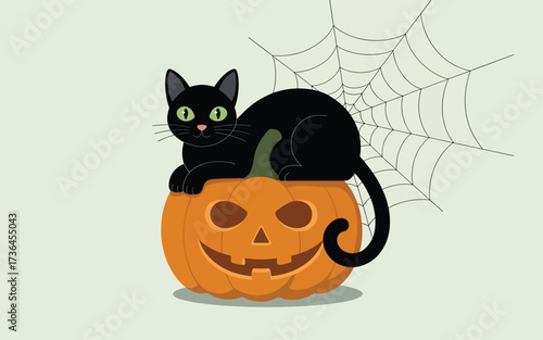 Black cat sits on carved jack o lantern with spider web