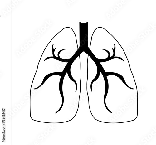 Lungs flat line icon. Thin vector pictogram of human internal organs, outline illustration for lung clinic.