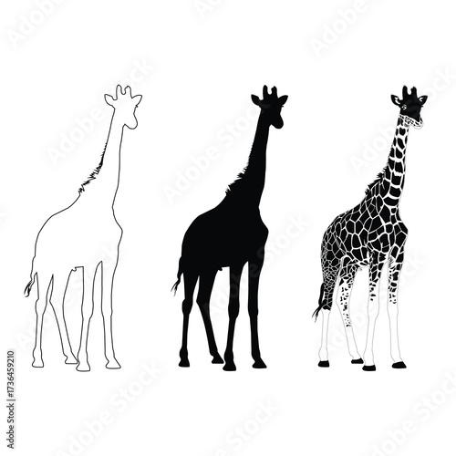 A set of animal giraffe silhouette vector illustration.eps