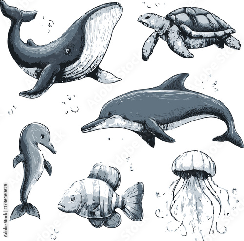 Sea animals sketch, hand drawn whale, turtle, dolphin, fish, jellyfish — stock vector