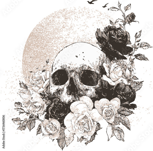 Skull sketch hand drawn with blooming roses and textured background — stock vector