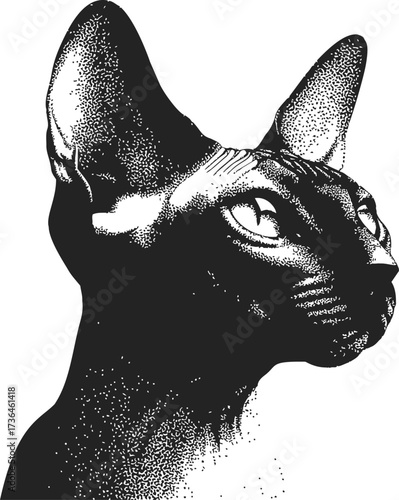 Sphynx cat sketch hand drawn portrait with detailed stippling shading — stock vector
