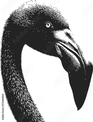 Flamingo head sketch hand drawn close up black and white portrait — stock vector