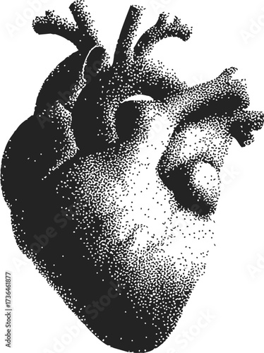 Anatomical heart sketch, hand drawn stipple style medical illustration — stock vector