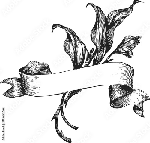 Calla lily flowers sketch with blank ribbon banner, hand drawn vintage style — stock vector