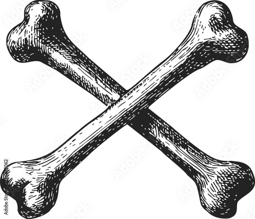 Crossed bones sketch hand drawn style symbol of danger or poison — stock vector
