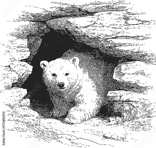 Bear sketch hand drawn emerging from rocky cave entrance — stock vector