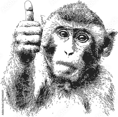 Monkey sketch hand drawn giving thumbs up gesture, detailed black and white illustration — stock vector