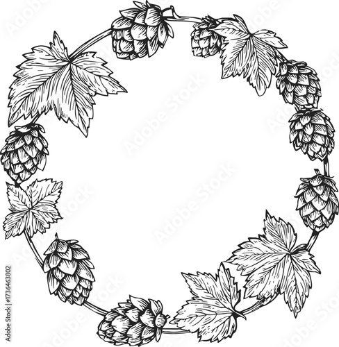 Hop wreath sketch hand drawn botanical frame with leaves and cones — stock vector