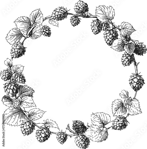 Hops wreath sketch, hand drawn botanical frame with leaves and cones — stock vector