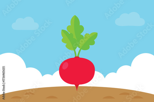 Cartoon Radish Growing in Garden Soil Under a Blue Sky with Clouds