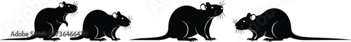 Rodent growth silhouette, mouse development stages, animal evolution vector, biology illustration, scientific graphic, zoology concept, aging process, vector art