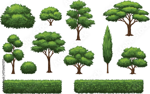 "Collection of illustrated trees and hedges with diverse shapes, foliage density, and canopy forms, including rounded, conical, and cypress styles"