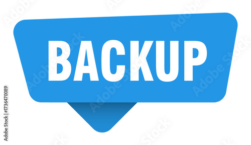 backup sticker. backup blue sign isolated on transpatent background