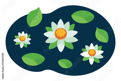 Elegant White Water Lilies with Green Pads Floating on Dark Blue Pond Surface