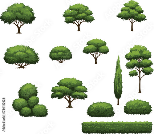 "Collection of illustrated trees and shrubs with diverse shapes, foliage density, and hedge designs arranged in grid for landscape reference"