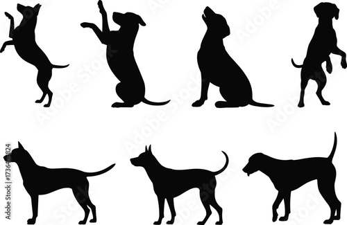 Dog silhouette vector set, various poses of dogs, cad drawing flat vector illustration, animal behavior, clean design, pet motion