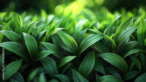 Vibrant green leaves close-up nature photography outdoor environment lush plant life natural beauty