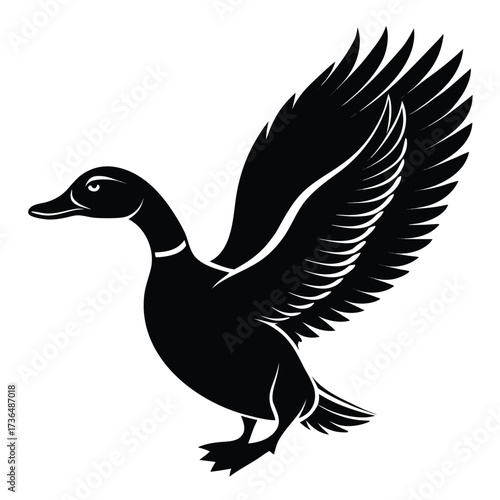 Elegant Black Duck with Outstretched Wings Illustration elegant black duck