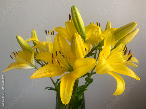 beautiful yellow flower on the white background, Yellow lilies in a vase