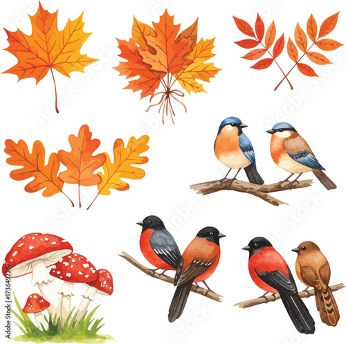 Autumn nature elements collection featuring colorful leaves birds and mushrooms artwork