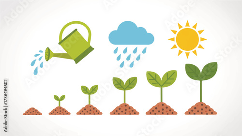 Vector art of illustrative depiction of plant growth stages with watering can