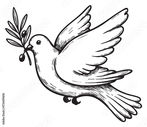 Peaceful dove with olive branch illustration in black and white – retro hand drawn illustration