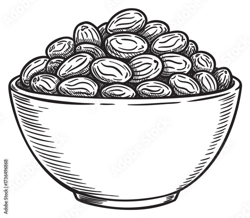 Sketch of a bowl filled with peanuts in rustic style – retro hand drawn illustration