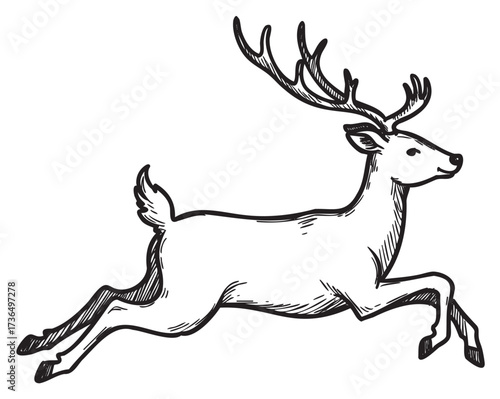 Hand-drawn illustration of a running deer with antlers in black and white – retro hand drawn illustration