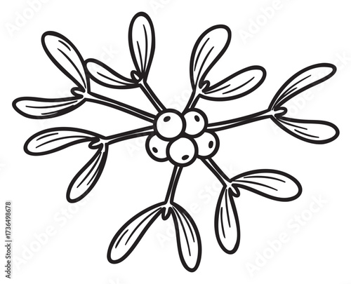 Black and white mistletoe illustration with berries and leaves – retro hand drawn illustration