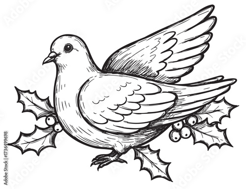 Ink drawing of peaceful dove with holly branches symbolizing tranquility and hope – retro hand drawn illustration