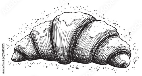 Hand-drawn croissant illustration with detailed line art and texture – retro hand drawn illustration