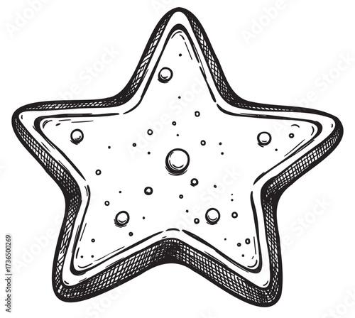Hand-drawn black and white starfish sketch with textured detail – retro hand drawn illustration