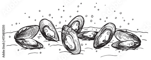 Black and white illustration of opened clams on ocean floor with bubbles – retro hand drawn illustration