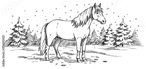 Hand-drawn horse in snowy forest with pine trees – retro hand drawn illustration