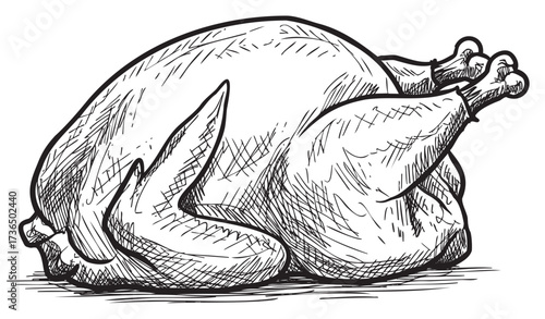 Hand-drawn illustration of uncooked whole turkey with crosshatched details – retro hand drawn illustration
