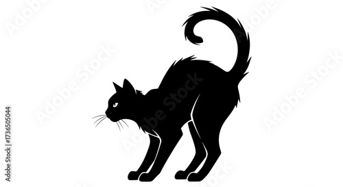 A black cat arches its back, displaying a defensive posture with curled tail.