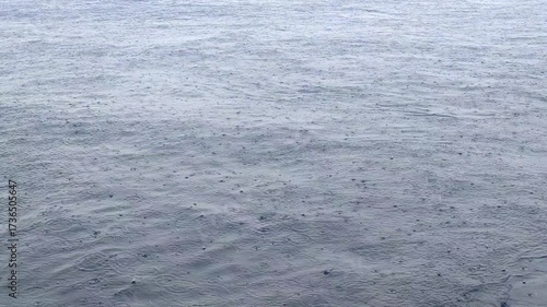 Raindrops fall on the water, Rain on sea, windy weather

