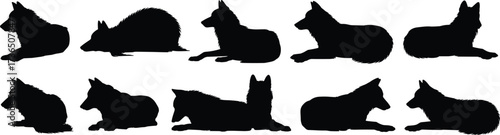 German Shepherd Dog Silhouettes in Laying Pose, Resting Dog Vector Collection, Pet Animal Graphic Design, Black Dog Silhouette Art
