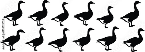 Goose silhouette collection, wild bird vector icons, black and white waterfowl shapes, farm animal graphic set, simple nature illustrations