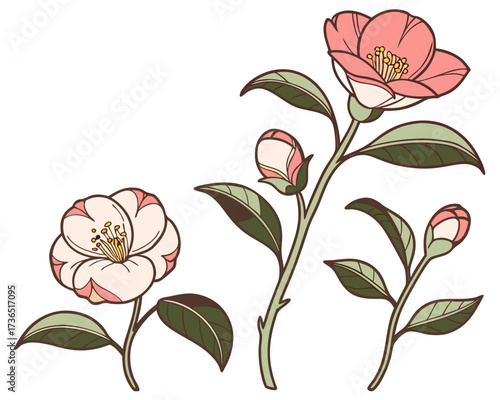 A vintage vector seamless floral pattern with pink lily bouquet illustration, leaves, and buds for a beautiful summer background design