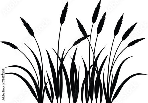 tall grass against a bright white backdrop creating a minimalist botanical design with a nature inspired aesthetic silhouette vector illustration