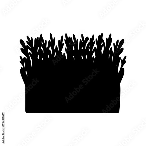 Silhouette of dense underwater foliage or plants with roots and jagged edges